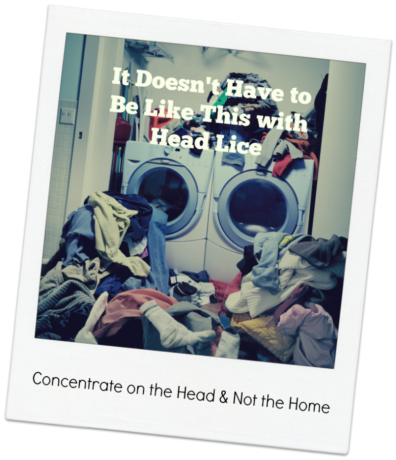 HOW TO GET RID OF LICE IN YOUR HOME Lice Treatment Let's Be PALS