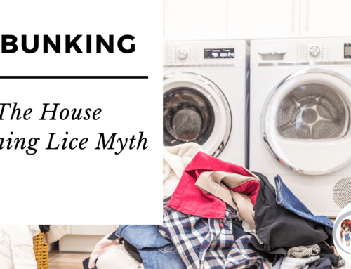 Debunking Lice Myths: Why You Don’t Need to Go Crazy Cleaning Your House
