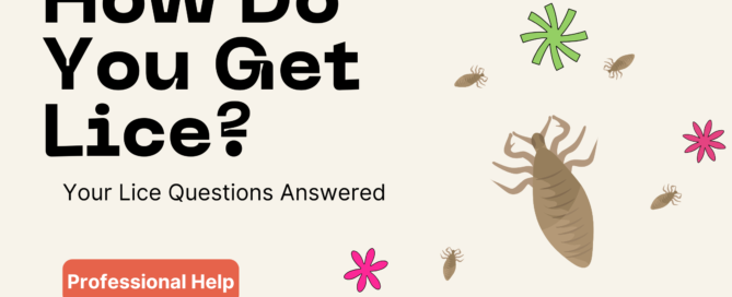 how do you get lice
